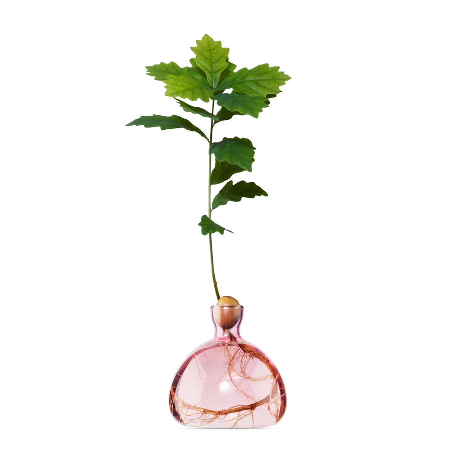 Tall minimalist vase for clean lines-ACORN BUD VASE IN ROSE PINK