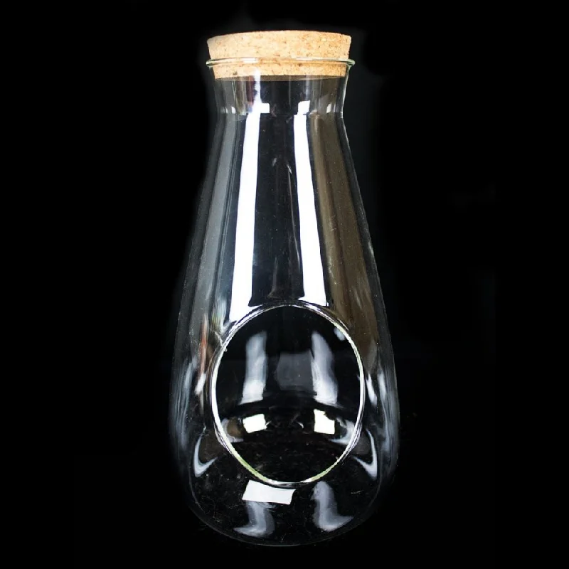 Tall minimalist black vase for sleekness-Clear glass bowl 27cm