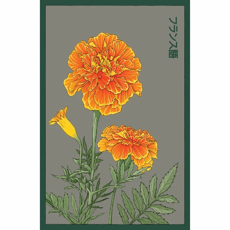 Minimalist glass vase for flowers-French Marigold Flower Seeds Packet