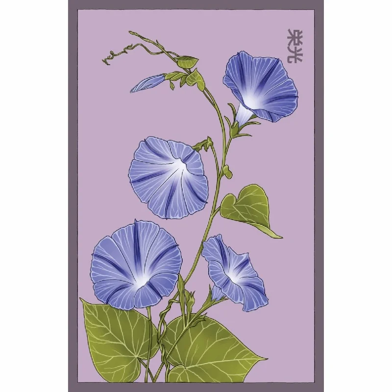 Large modern vase for bold decor-Morning Glory Flower Seeds Packet